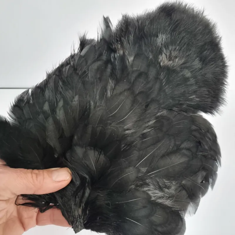 Whiting Coq de Leon Hen Soft Hackle with Chickabou in Dyed Black-1